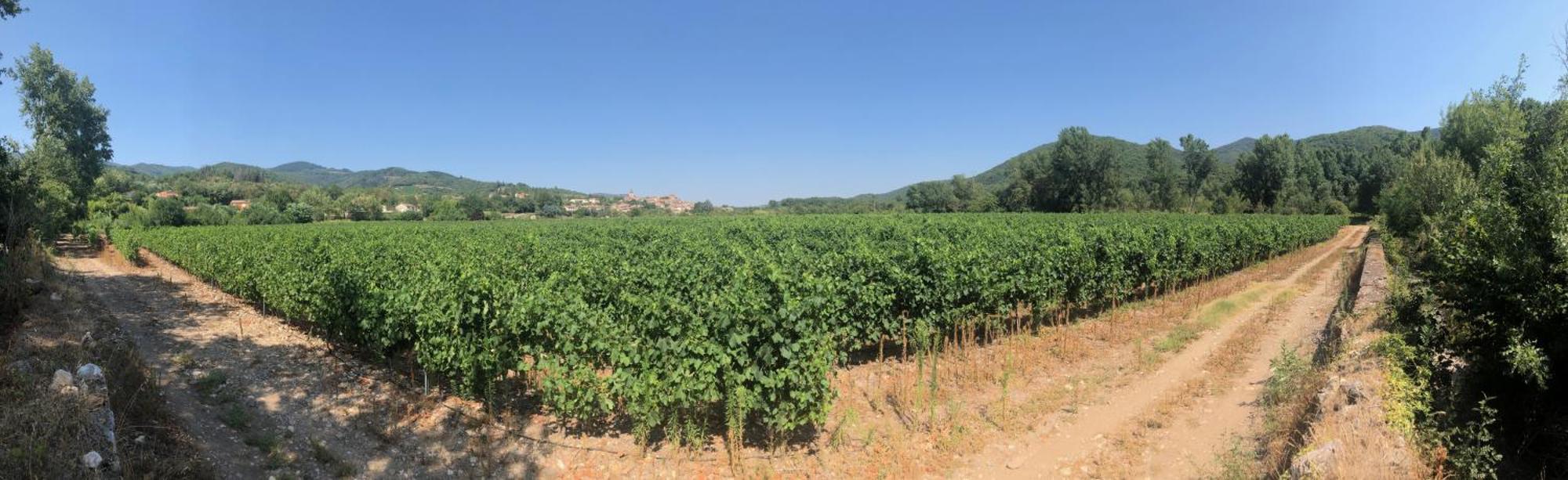 Homestay Les Martinets: Countryside Retreat With Pool And Jacuzzi