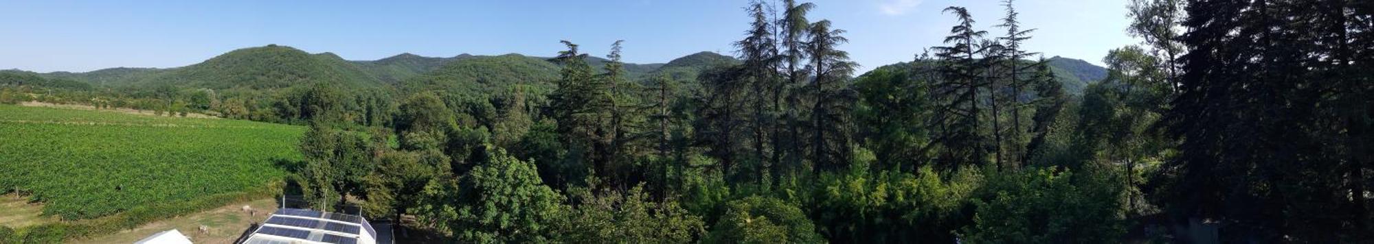 Les Martinets: Countryside Retreat With Pool And Jacuzzi Homestay *